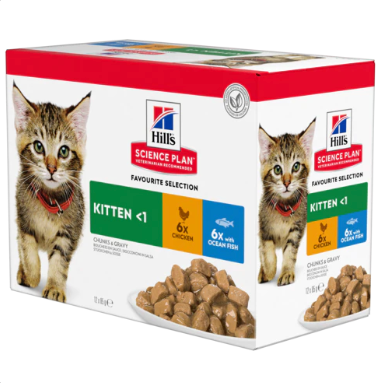 Hills science plan kitten wet food chicken and ocean fish 12x85g