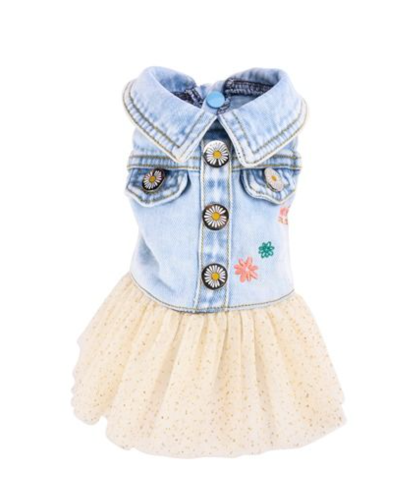 Dogs life dress denim XL