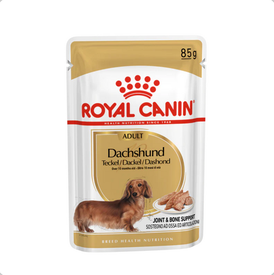 Royal canin dachshound adult wet food 85g