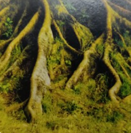 30cm double sided 8009/8010 (15m long)