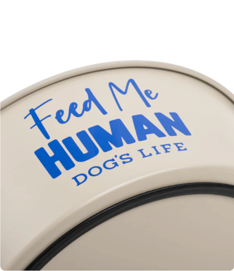 Dogs life stainless steel bowl feed me human beige L