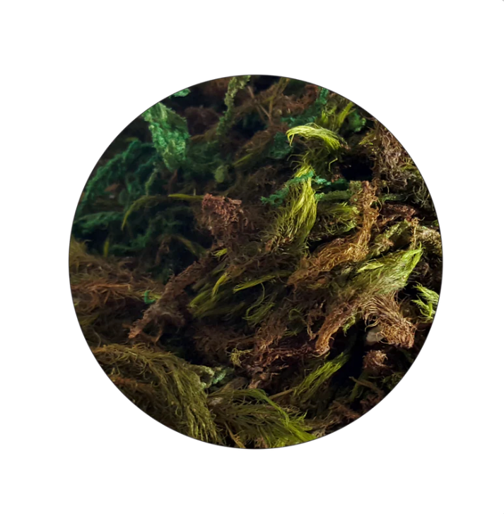 Akwa jungle moss 500g