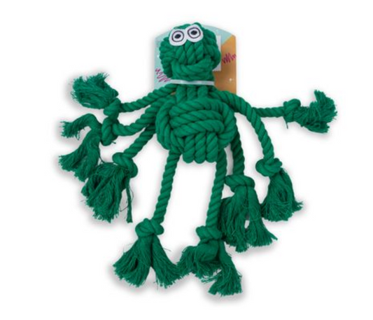 Dogs life rope spider