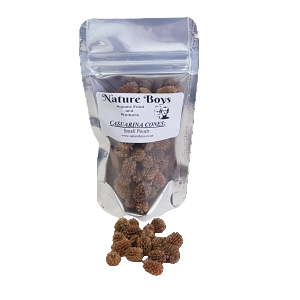 Nature boys casurina cones s