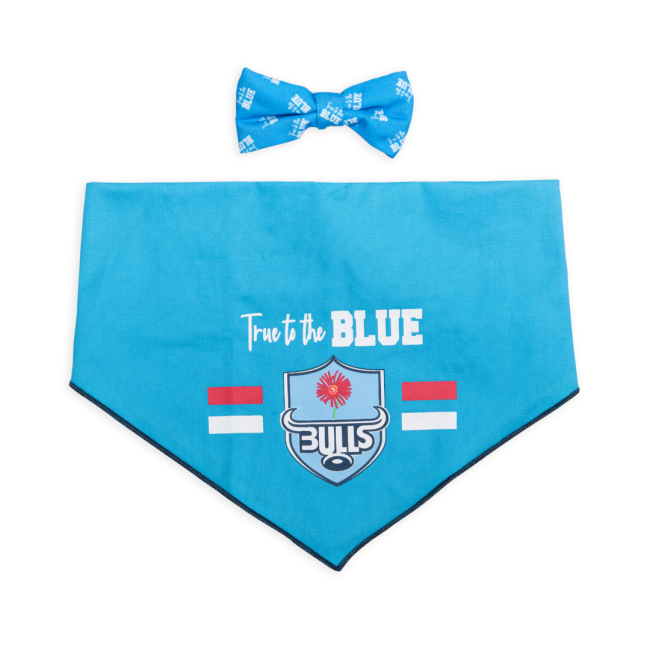 Dogs life Bow tie and bandana set blue bulls L