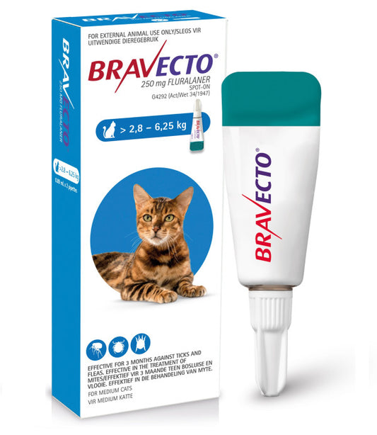 Bravecto Medium Cat 2.8-6.25kg Spot On Tick & Flea