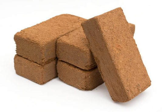 100g sphagnum moss compressed brick