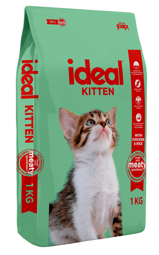 Ideal kitten 1kg