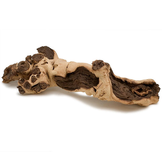 Mopani drift wood roots (per KG)