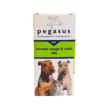 pegasus kennel cough medication