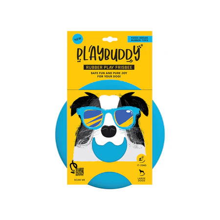 Playbuddy frisbee
