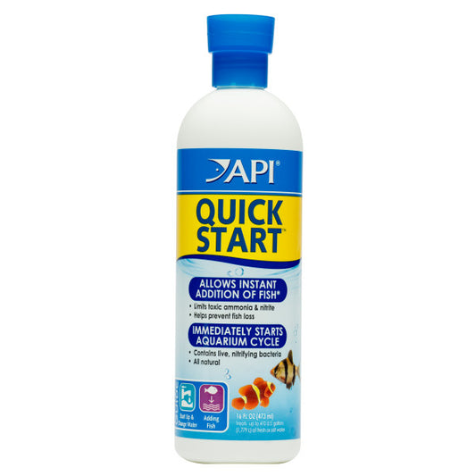 API quick start