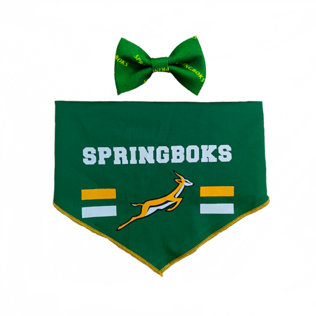 Dogs life Bow tie and bandana set Springboks L